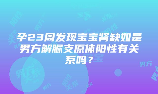 孕23周发现宝宝肾缺如是男方解脲支原体阳性有关系吗？