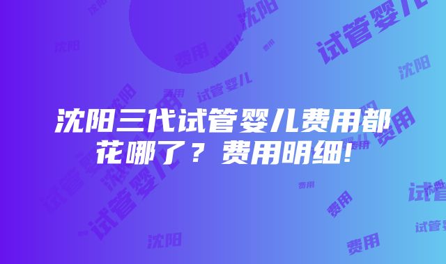 沈阳三代试管婴儿费用都花哪了？费用明细!