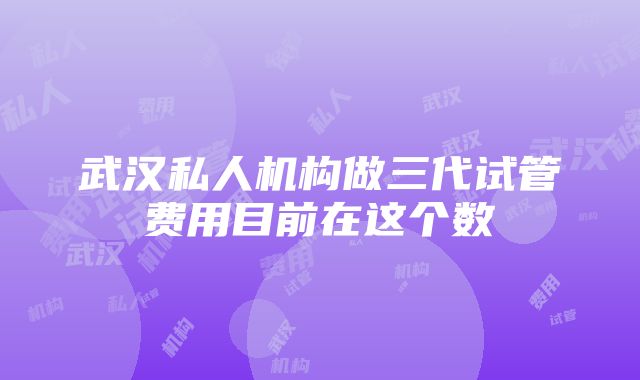 武汉私人机构做三代试管费用目前在这个数