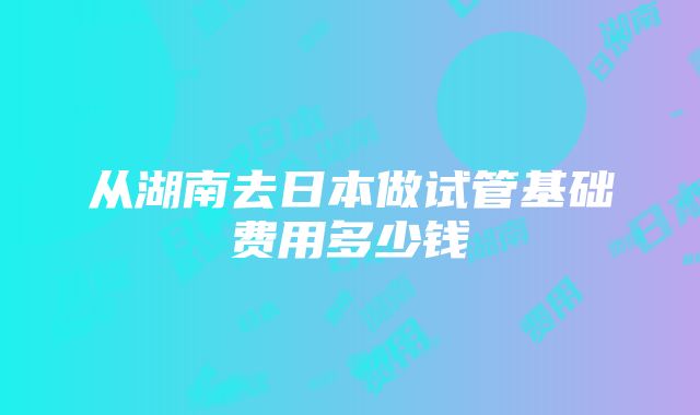 从湖南去日本做试管基础费用多少钱