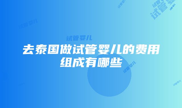 去泰国做试管婴儿的费用组成有哪些