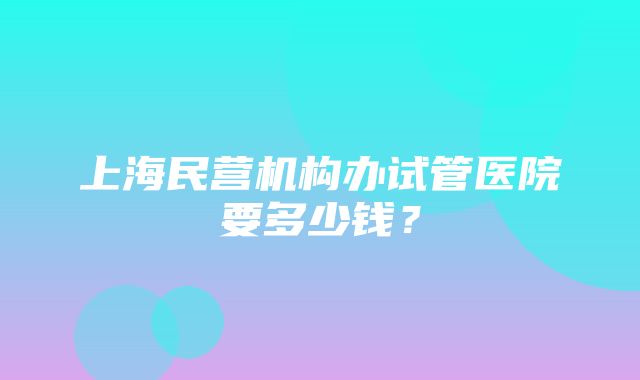 上海民营机构办试管医院要多少钱？