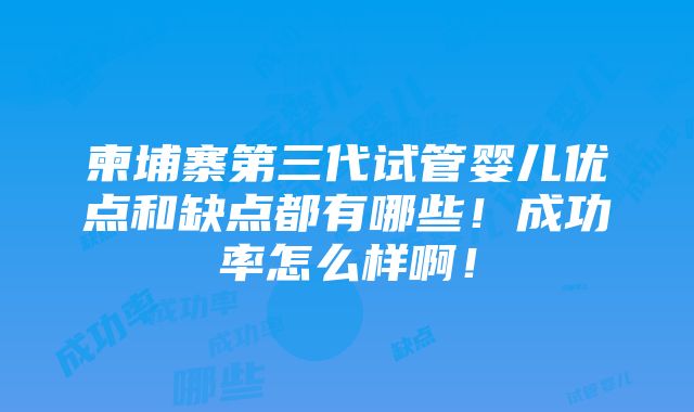 柬埔寨第三代试管婴儿优点和缺点都有哪些！成功率怎么样啊！