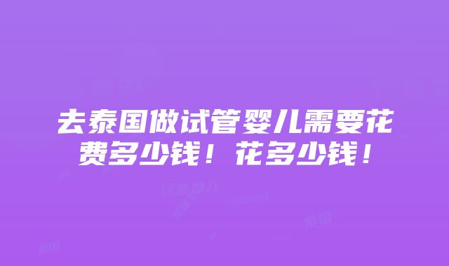 去泰国做试管婴儿需要花费多少钱！花多少钱！