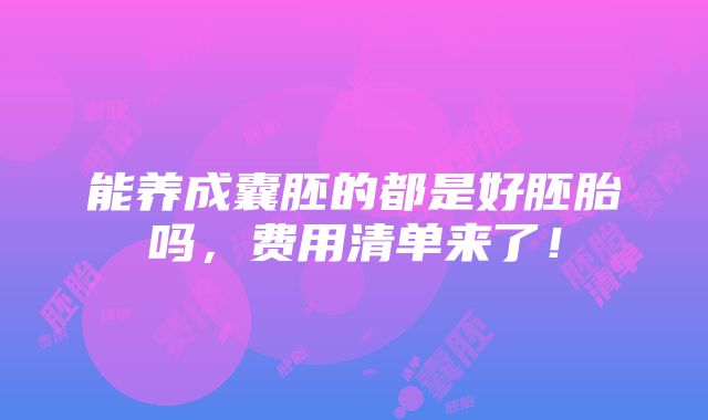 能养成囊胚的都是好胚胎吗，费用清单来了！