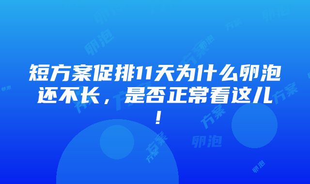 短方案促排11天为什么卵泡还不长，是否正常看这儿！