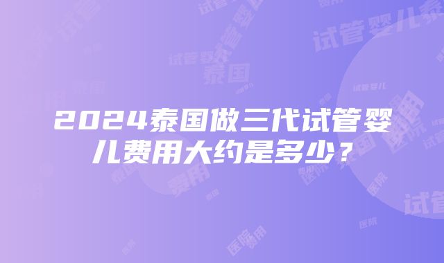 2024泰国做三代试管婴儿费用大约是多少？