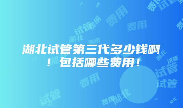 湖北试管第三代多少钱啊！包括哪些费用！