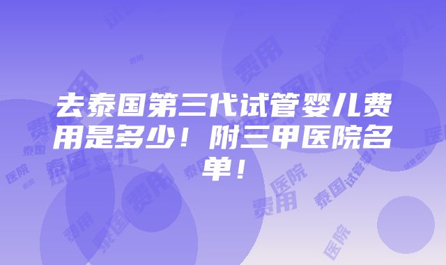 去泰国第三代试管婴儿费用是多少！附三甲医院名单！