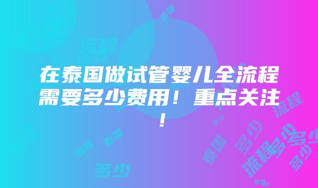 在泰国做试管婴儿全流程需要多少费用！重点关注！