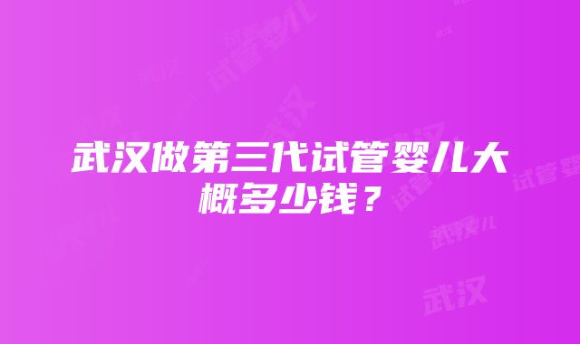 武汉做第三代试管婴儿大概多少钱？