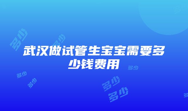 武汉做试管生宝宝需要多少钱费用