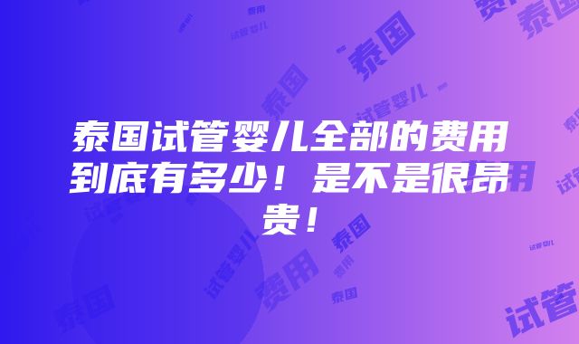 泰国试管婴儿全部的费用到底有多少！是不是很昂贵！