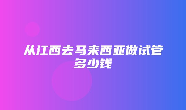 从江西去马来西亚做试管多少钱