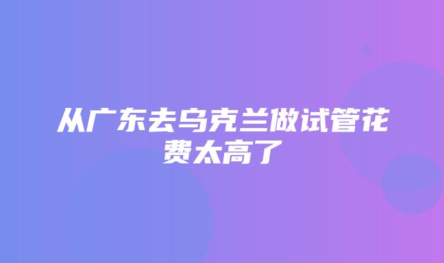 从广东去乌克兰做试管花费太高了