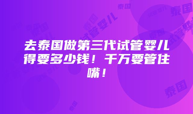 去泰国做第三代试管婴儿得要多少钱！千万要管住嘴！