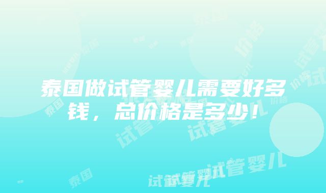 泰国做试管婴儿需要好多钱，总价格是多少！