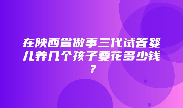 在陕西省做事三代试管婴儿养几个孩子要花多少钱？