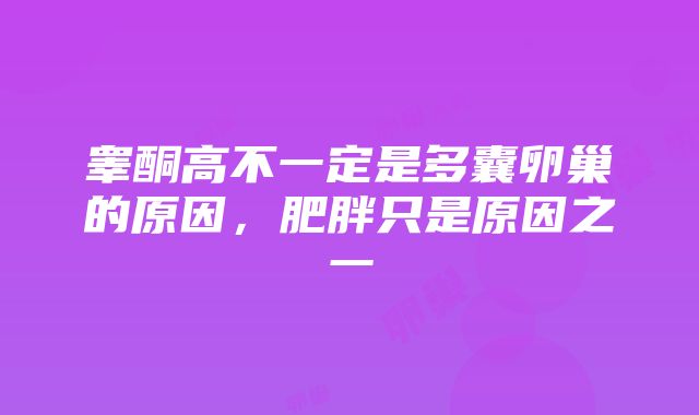 睾酮高不一定是多囊卵巢的原因，肥胖只是原因之一