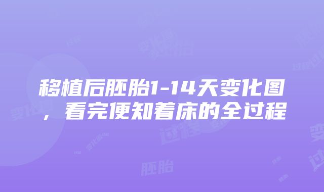 移植后胚胎1-14天变化图，看完便知着床的全过程