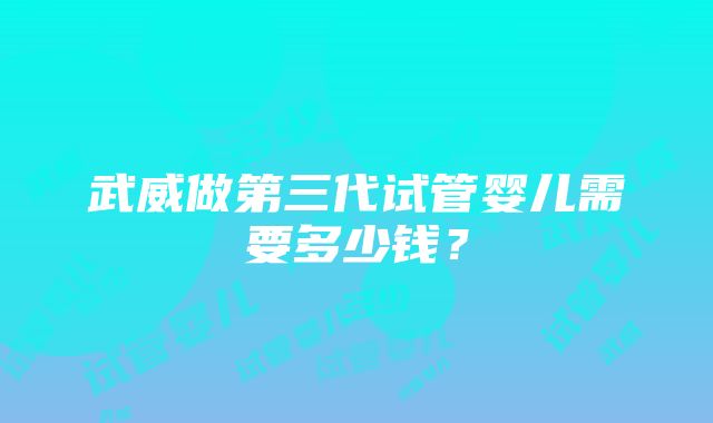 武威做第三代试管婴儿需要多少钱？