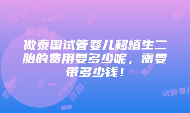 做泰国试管婴儿移植生二胎的费用要多少呢，需要带多少钱！