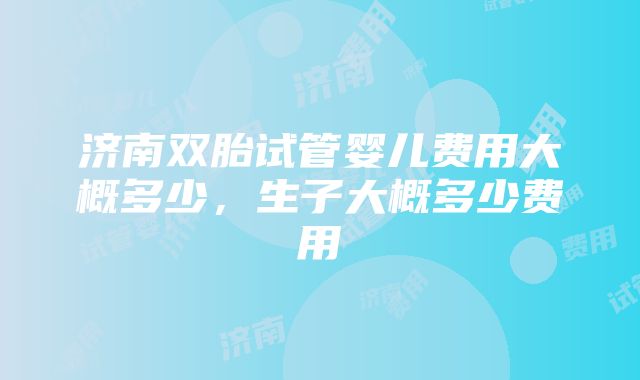 济南双胎试管婴儿费用大概多少，生子大概多少费用