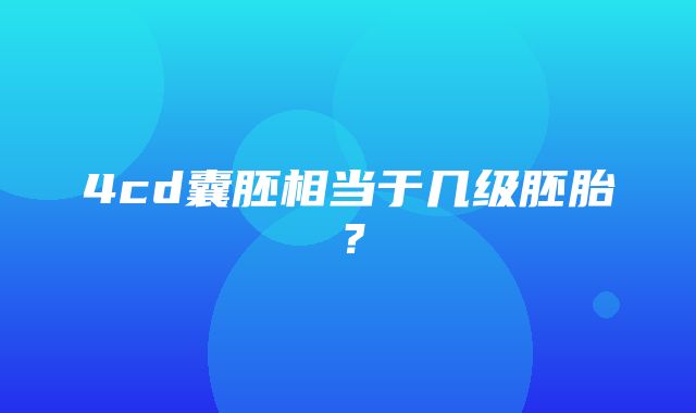 4cd囊胚相当于几级胚胎？