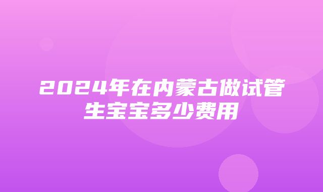 2024年在内蒙古做试管生宝宝多少费用