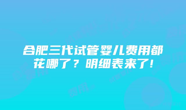 合肥三代试管婴儿费用都花哪了？明细表来了!