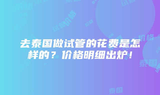 去泰国做试管的花费是怎样的？价格明细出炉！