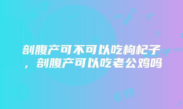 剖腹产可不可以吃枸杞子，剖腹产可以吃老公鸡吗