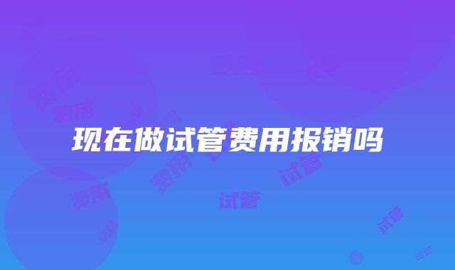 现在做试管费用报销吗