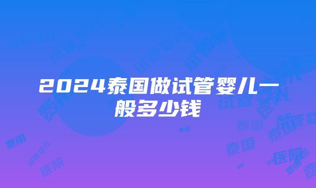 2024泰国做试管婴儿一般多少钱