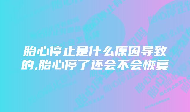 胎心停止是什么原因导致的,胎心停了还会不会恢复