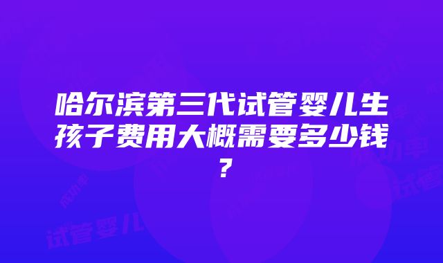 哈尔滨第三代试管婴儿生孩子费用大概需要多少钱？