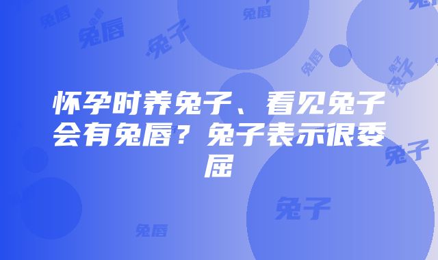 怀孕时养兔子、看见兔子会有兔唇？兔子表示很委屈