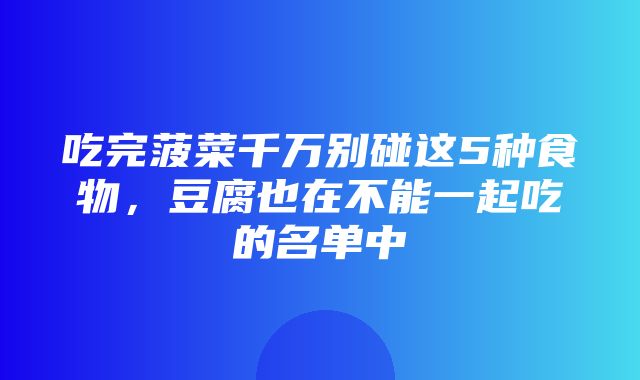 吃完菠菜千万别碰这5种食物，豆腐也在不能一起吃的名单中