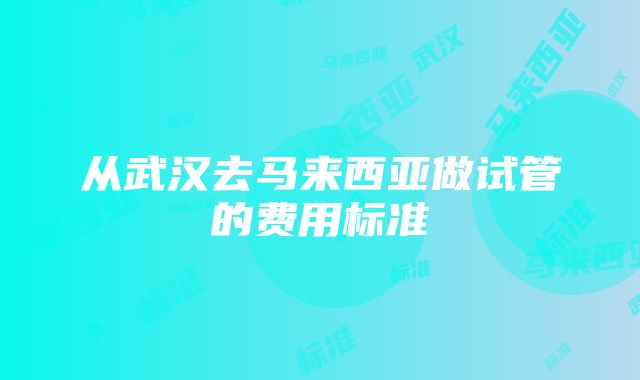 从武汉去马来西亚做试管的费用标准