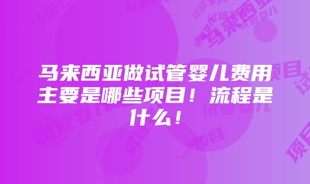 马来西亚做试管婴儿费用主要是哪些项目！流程是什么！