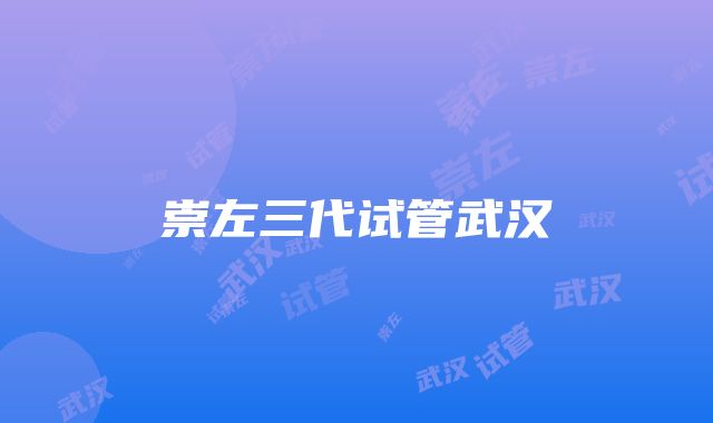 崇左三代试管武汉