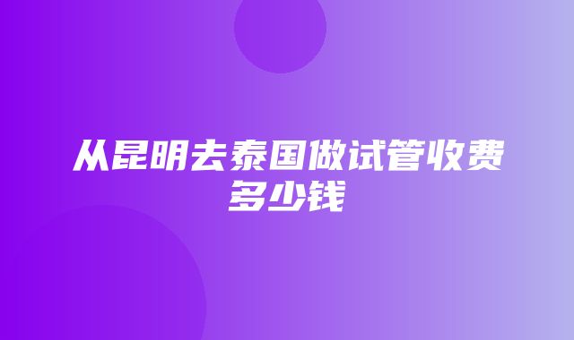 从昆明去泰国做试管收费多少钱