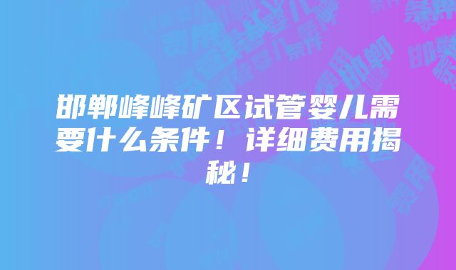 邯郸峰峰矿区试管婴儿需要什么条件！详细费用揭秘！