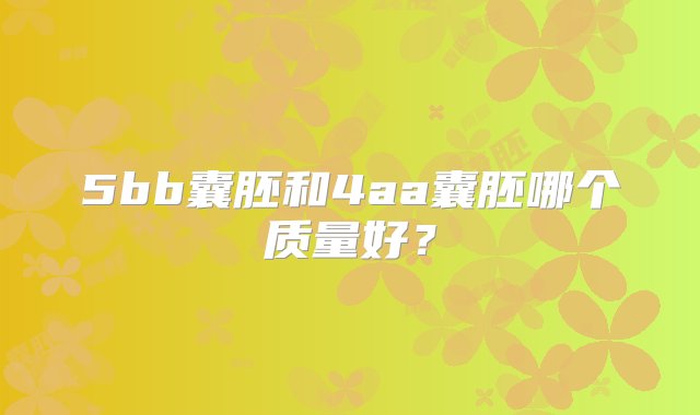 5bb囊胚和4aa囊胚哪个质量好？