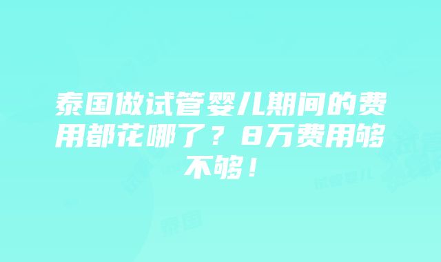 泰国做试管婴儿期间的费用都花哪了？8万费用够不够！