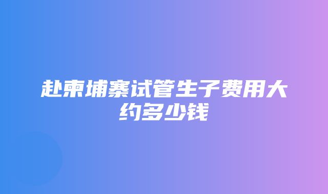 赴柬埔寨试管生子费用大约多少钱