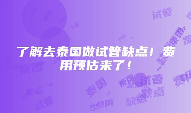 了解去泰国做试管缺点！费用预估来了！