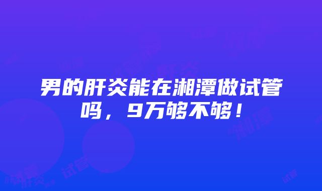 男的肝炎能在湘潭做试管吗，9万够不够！