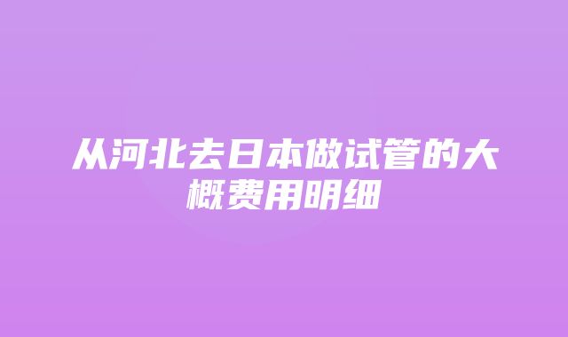 从河北去日本做试管的大概费用明细