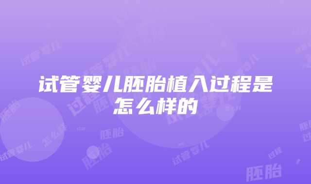 试管婴儿胚胎植入过程是怎么样的